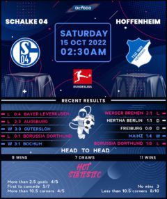 Schalke vs TSG Hoffenheim