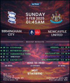 Birmingham City vs Newcastle United