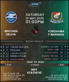 Machida Zelvia vs Yokohama F. Marinos