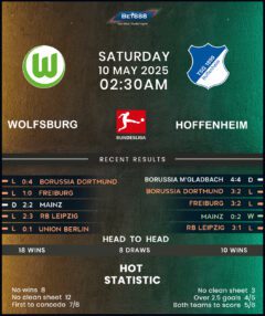 Wolfsburg vs TSG Hoffenheim